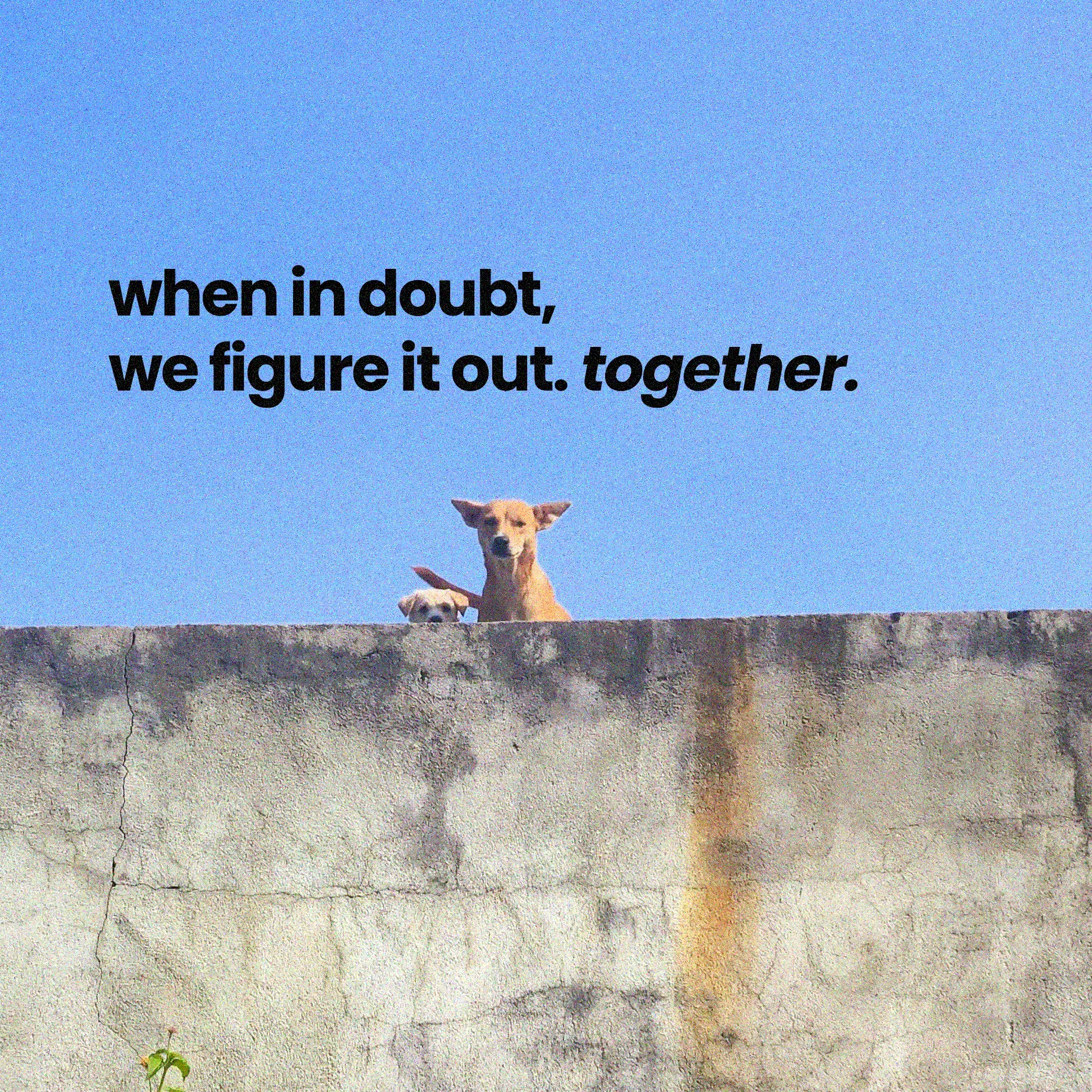 when in doubt we figure it out together